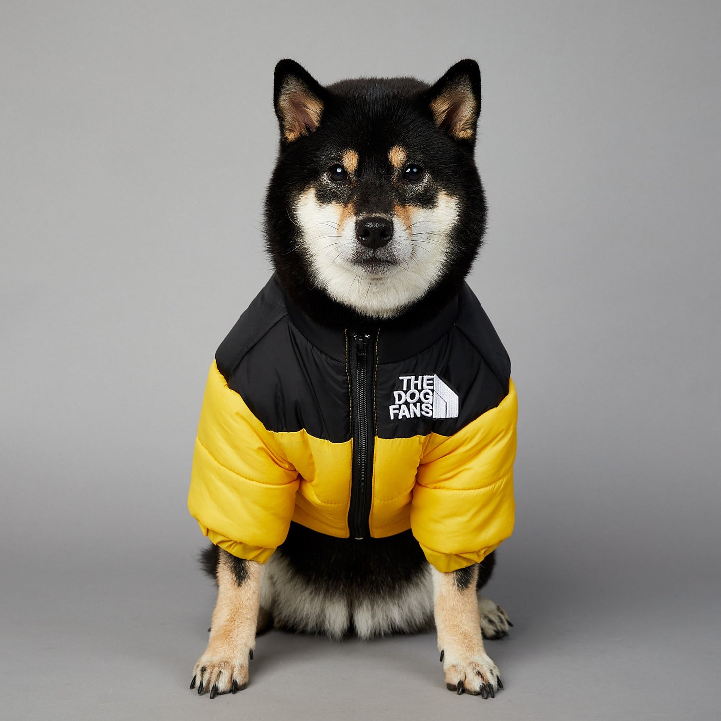 Puffer Jacket
