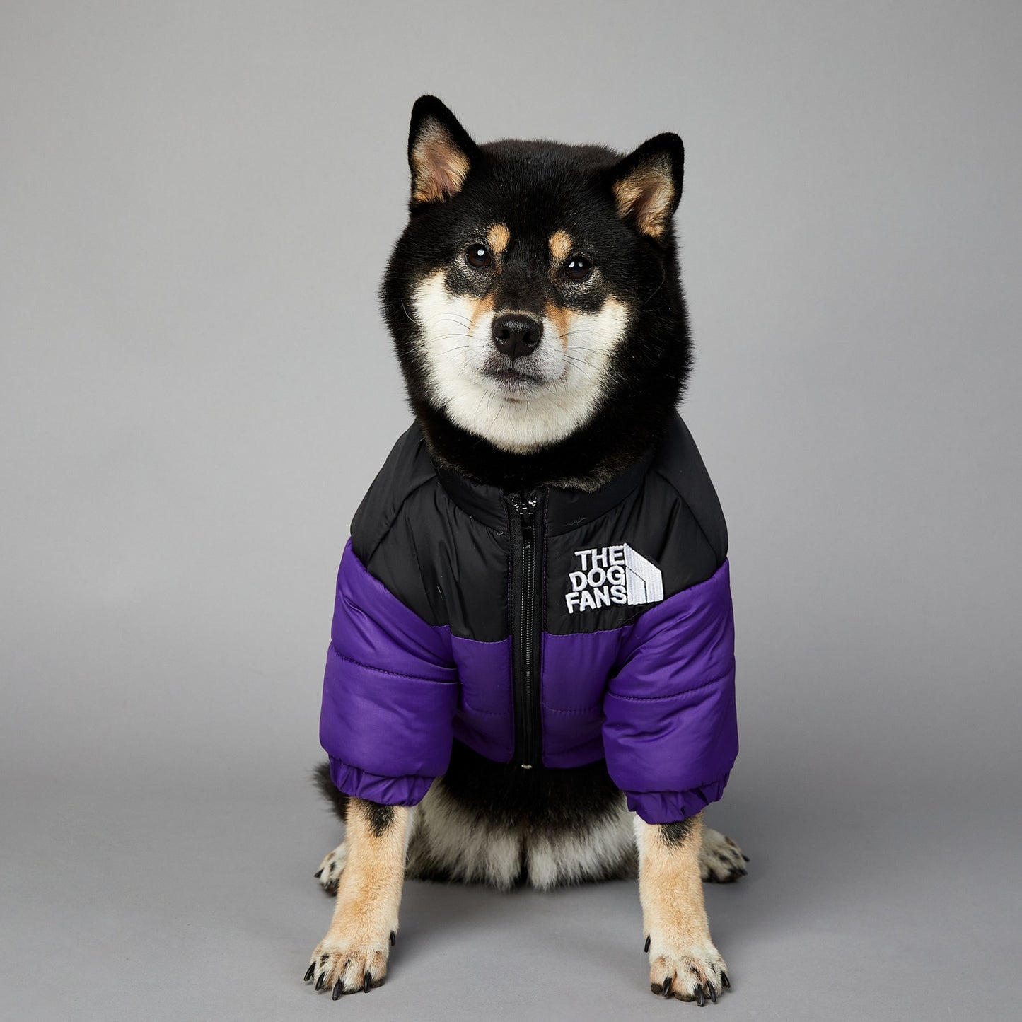 Puffer Jacket