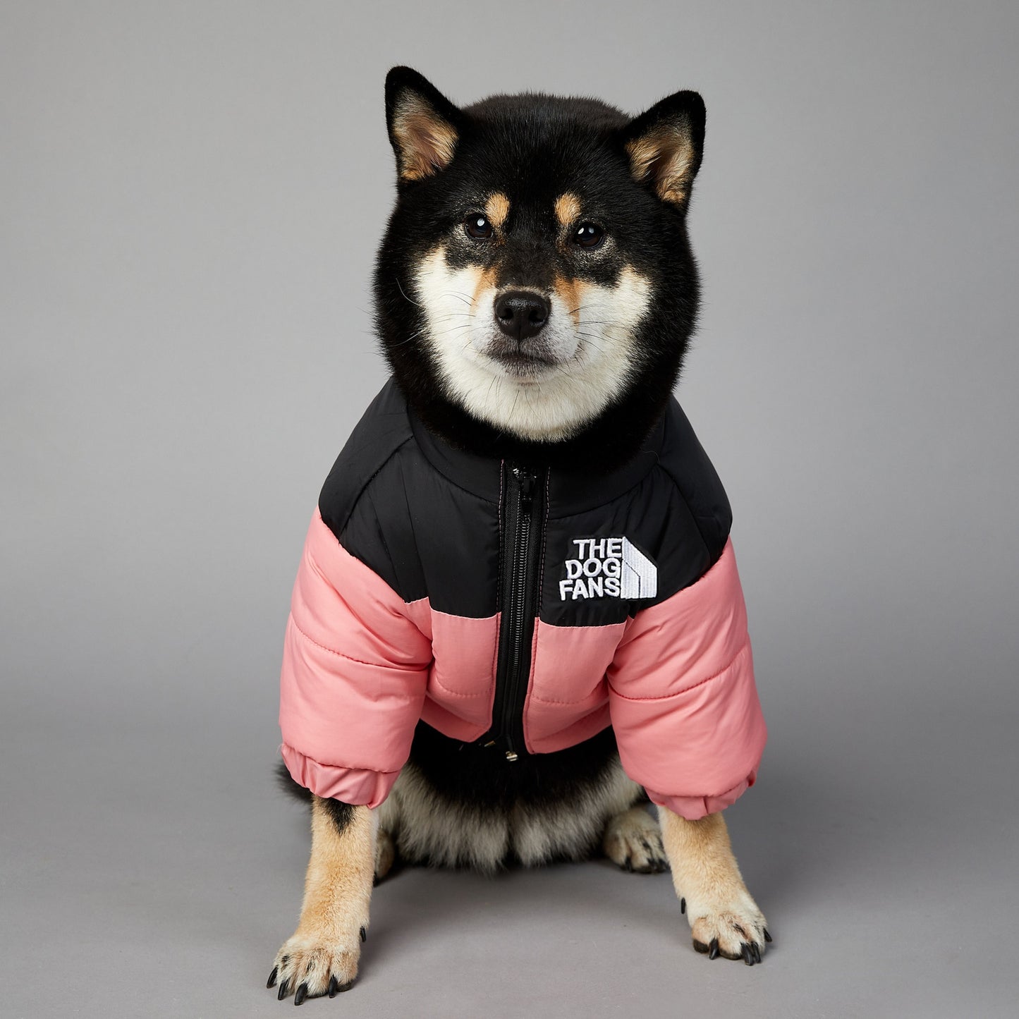 Puffer Jacket
