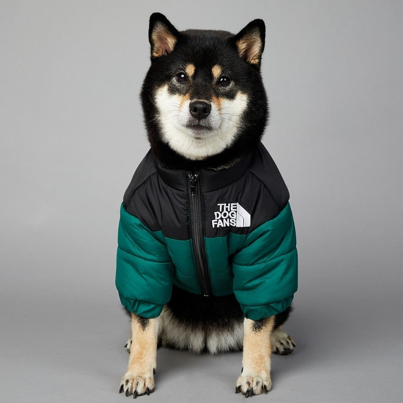 Puffer Jacket