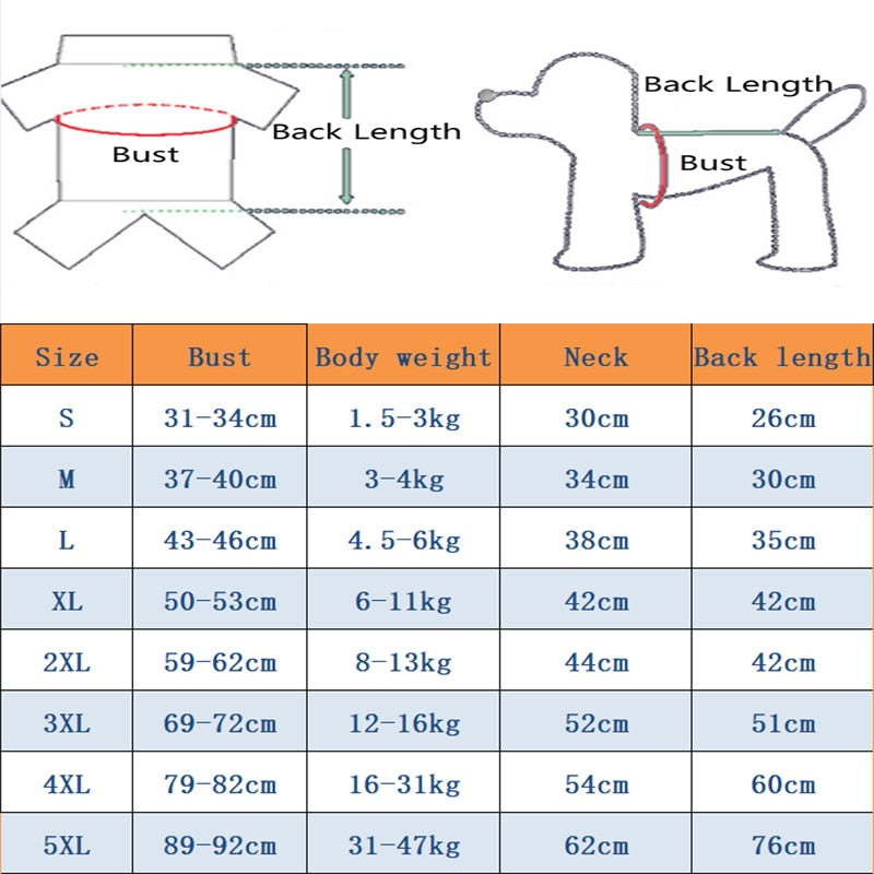 Lightweight Jacket