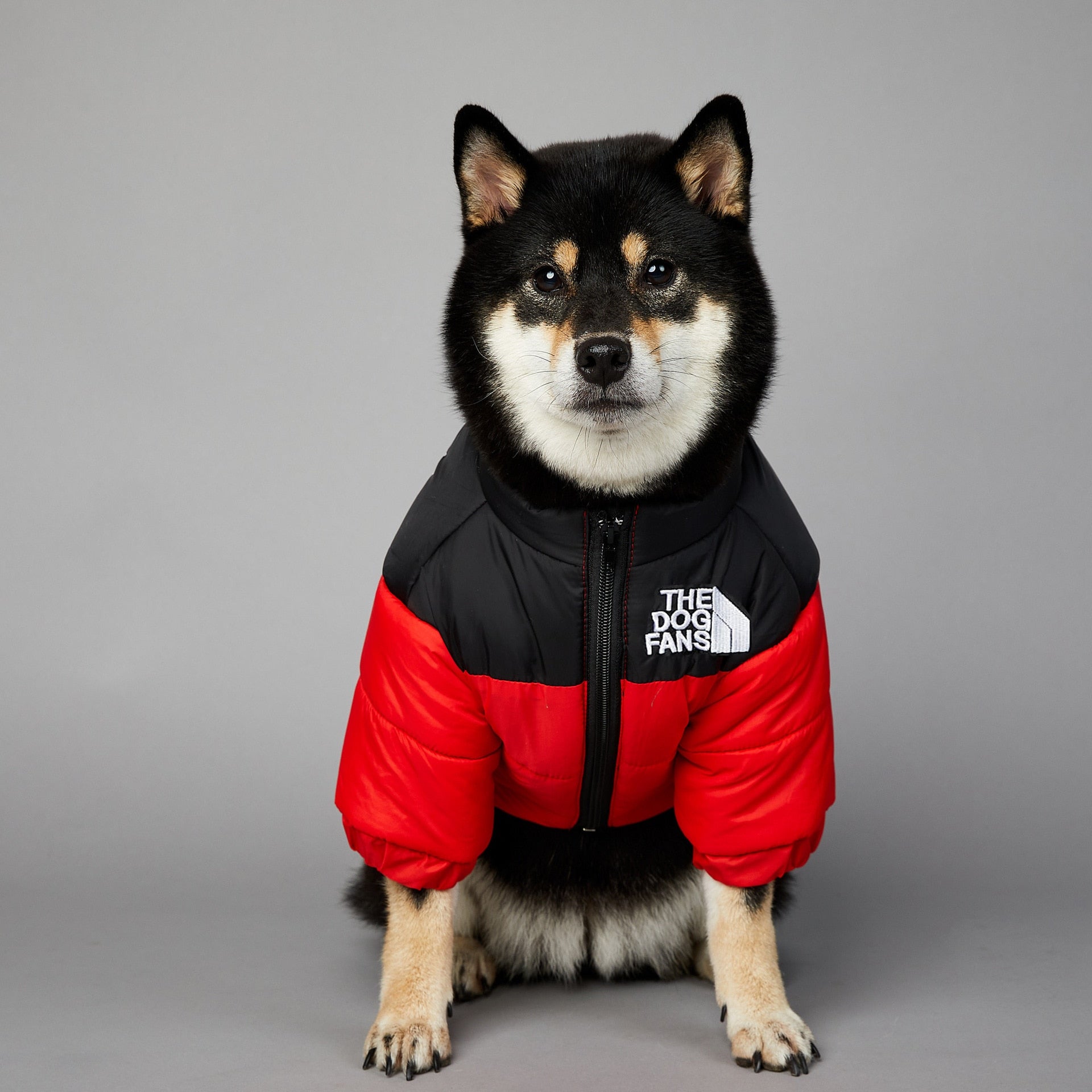 Puffa jacket sales for dogs