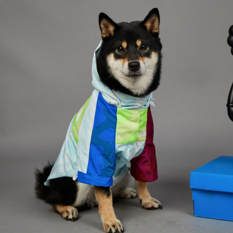 Windbreaker Raincoat
